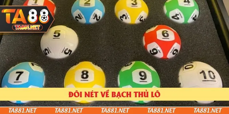 Đôi nét về bạch thủ lô